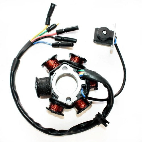 6 Coil Pole Magneto Flywheel Stator 110cc 125cc Pit Quad Dirt Bike ATV Buggy
