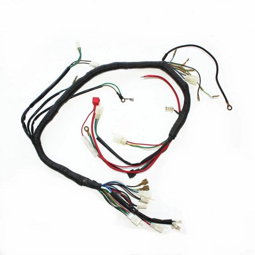 Engine AC Wiring Harness Wiring Loom 150cc 250cc Pit Quad Dirt Bike ATV Buggy B