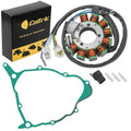 Stator And Gasket for Yamaha Serow 225 XT225 Xt 225 1992 1993 1994 1995-2000