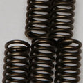 Ebc Csk Clutch Spring Set (CSK137)