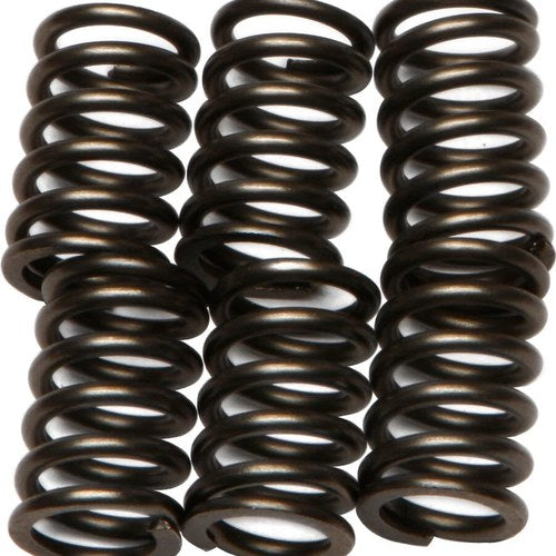 Ebc Csk Clutch Spring Set (CSK64)