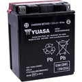 Yuasa Fresh Pack High Performance Maintenance-Free Agm Battery (YTX14AH-BS)