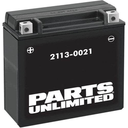 Parts Unlimited High-Performance Maintenance-Free Battery YTX20H-BS (2113-0021)
