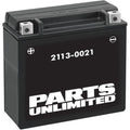 Parts Unlimited High-Performance Maintenance-Free Battery YTX20H-BS (2113-0021)