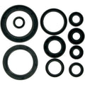 Moose Racing Engine Oil Seal Kit (M822178)