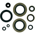 Moose Racing Engine Oil Seal Kit (M822104)
