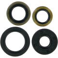 Moose Racing Engine Oil Seal Kit (0935-0078)