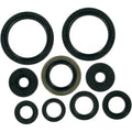 Moose Racing Engine Oil Seal Kit (0935-0079)
