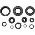 Moose Racing Engine Oil Seal Kit (0935-0043)