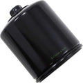Hiflofiltro RC High Performance Oil Filter (Black) HF170BRC