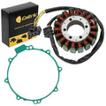 Stator And Gasket for Honda VFR800Fi Interceptor 800 2000-2001