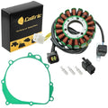 Stator & Gasket For Kawasaki KLX400R KLX400Sr KLX400A 2003-2004