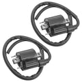 2 Ignition Coils for Suzuki Intruder Volusia VL800 VL800Z 2001-2004