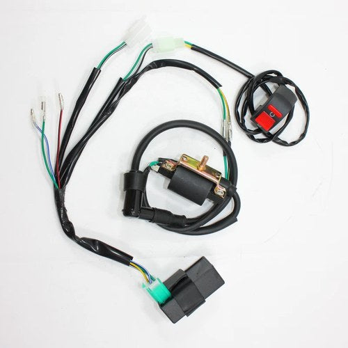 Complete Kick Start Engine Wiring Harness Loom 50c 125cc 140cc Pit Pro Dirt Bike