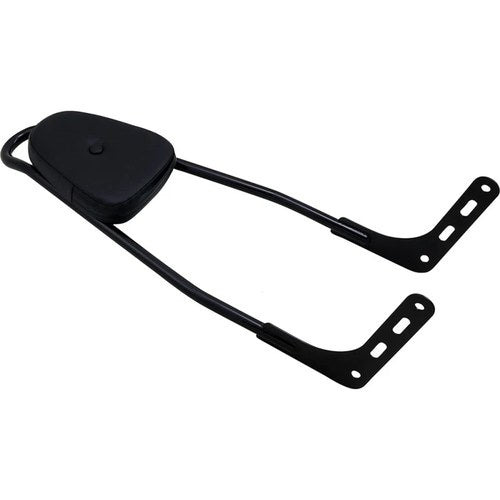 Motherwell One-Piece Sissy Bar - With Pad (Gloss Black) MWL156T18-GB-WP