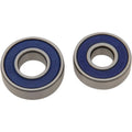 Moose Racing Wheel Bearing Kit - Double Lip - Rear - Cobra | 25-1681