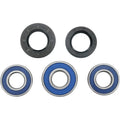 Moose Racing Wheel Bearing Kit - Double Lip | 25-1066