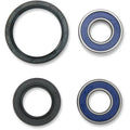 Moose Racing Wheel Bearing Kit - Double Lip | 25-1080