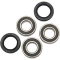 Pivot Works Wheel Bearing and Seal Kit - Double Seal | PWRWK-H34-001