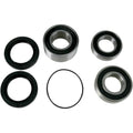 Pivot Works Wheel Bearing and Seal Kit - Double Seal - Rear | PWRWS-H14-000