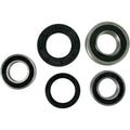 Pivot Works Wheel Bearing and Seal Kit - Double Seal - Rear | PWRWS-S05-000