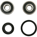 Pivot Works Wheel Bearing and Seal Kit - Double Seal - Front | PWFWS-H30-000