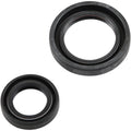 Prox Crankshaft Oil Seal Kit | 42.1206