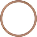 Vesrah Exhaust Gasket - 10 Pack | VE-4004