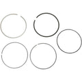 Moose Racing Piston Ring Set - Moose - Standard | CPNG-2-3150