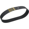 Belt Drives Ltd Replacement Belt - 3" - 8mm - 144 | BDL-37144-3