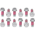 Bolt Rotor Bolt KTM 12 Pack | 2009-KTMRTR