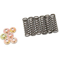 Barnett Clutch Spring Set | 505-42-06031
