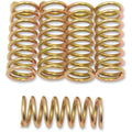 Barnett Clutch Spring Set | 501-50-05053