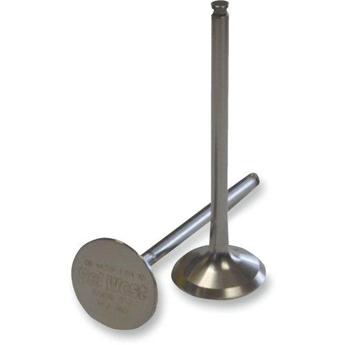 Del West Intake Valve | DW450RIV09ND