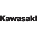 Factory Effex Logo Decal/Sticker - Kawasaki - Sold Each | 09-90101