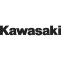 Factory Effex Die-Cut Decal - 1' - Kawasaki 09 | 12-94114