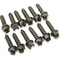 Gold Screws Ice Screws - 5/8" - 1000 Pack | 1250-0300