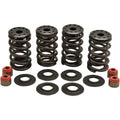 Kibblewhite Spring Kit - Twin Cam/XL | 20-20364