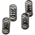 Ebc Clutch Springs | CSK233