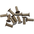 Eastern Motorcycle Parts Ratchet Plate Rivets | A-8216