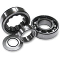 Feuling Oil Pump Corp Cam Outer Bearing | 2078