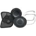 Wild Boar Audio FT 4 Ohm Speaker | Wbc 1654RG