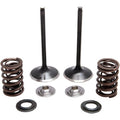 Kibblewhite Intake Spring Kit | 30-33200