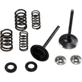 Kibblewhite Intake Spring Kit | 30-33250