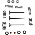 Moose Racing Intake Valve Kit | M80-80850