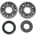 Moose Racing Crankcase Bearing and Seal Kit | 24-1025