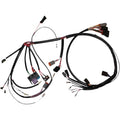 Namz Wiring Harness - '99-'03 XL | NHD-70153-99