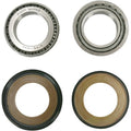 Pivot Works Steering Stem Bearing Kit | PWSSK-H05-420