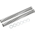 Race Tech Fork Springs - 0.50 kg/mm | Frsp 444750