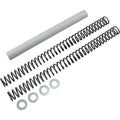 Race Tech Fork Springs - 0.46 kg/mm | Frsp 375046